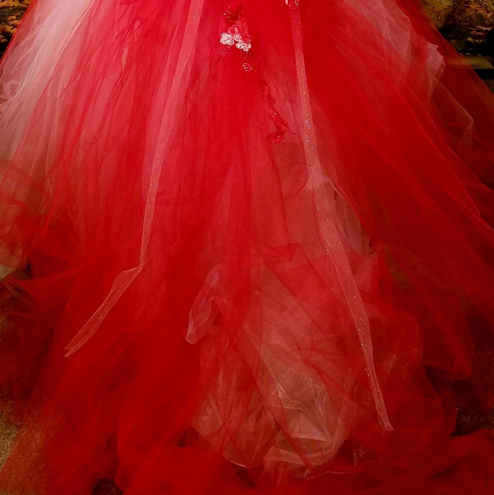 VALENTINA Red Lace & Tulle Corset Wedding Gown - Picture 8 of 8
